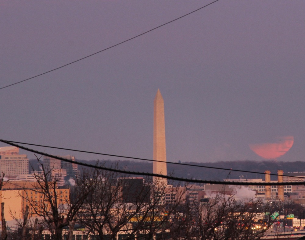 partially-eclipsed-blue-super-blood-moon--this-morning-in-dc_39293191144_o